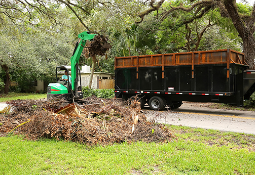 Dumpster with yard waste